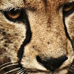 Данила Сердечный, 02.02.1990, Санкт-Петербург