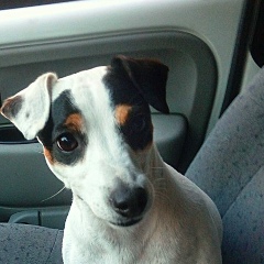 Назар Думинкевич, 07.10