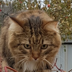 Мария Родионова, 08.09, Москва