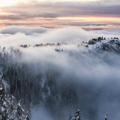 Юлия Петрова, Волгоград