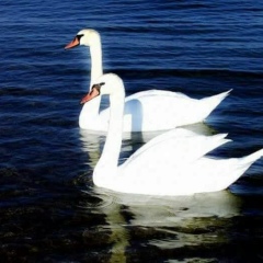 Махаббат Искакова, Астана