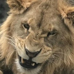 Габидолла Хамидолла, 31.12, Астана