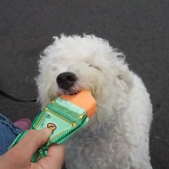 Олжас Мынжанов, 09.06.1989, Алматы