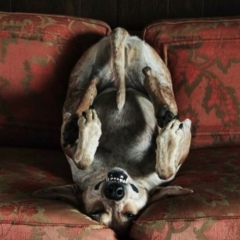 Александр Авакумов, 07.10, Санкт-Петербург