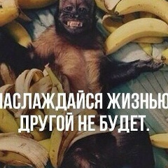 Макс Молдалиев, 24.06, Москва