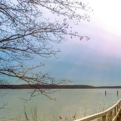 Софья Васильева, Санкт-Петербург