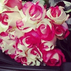 Gulnara Riskulova, Шымкент