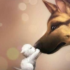 Поможем Животным-Вместе, Новосибирск