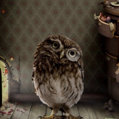 Денис Филипов, Москва