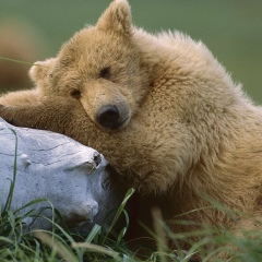 Михаил Береговой, 12.09