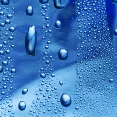 Серый Ворошков, 01.07.1985, Нижний Новгород