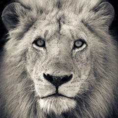 Данияр Ажгалиев, 22.08.1987, Атырау