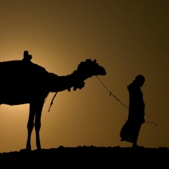 Абубакар Бакаров, Грозный