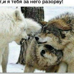 Bektemir Toktomuratov, 06.03.1988, Астана