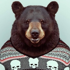 Алко Голь