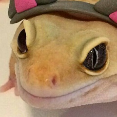 Даниил Щербаков, 02.01, Москва