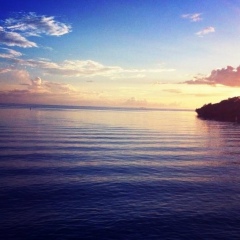 Zora Zora, 01.10.1901, Philadelphia