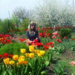 Алина Иванова, 20.08.1971, Новосибирск