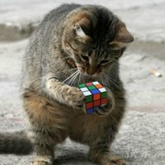 Вадим Руй, 16.03.2002, Ровно