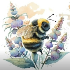 Ольга Крук, 12.05.2000