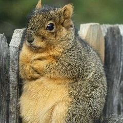 Кирилл Рудников, 27.11, Чита