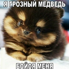 Адилет Анешов, 31.01.2000, Кульсары