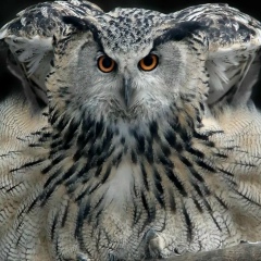 Августина Южанинова, 22.08.1978