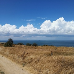 Азиза Тиллабаева, 31.12.1980