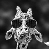 Богдан Карпенко, 17.07, Лебедин