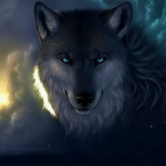 Жебе Абдикали, 28.03