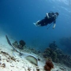 Андрей Марченко, 23.05.1991, Днепр (Днепропетровск)
