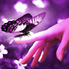 Ажар Жапарова, 06.07, Алматы