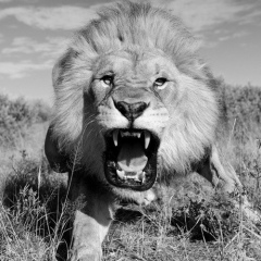 Денис Воротников, 03.08, Москва