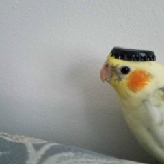 Аня Мухутдинова, 30.06.1993, Москва