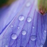 Лиана Муллаярова (Рашитова), 18.06, Нефтекамск