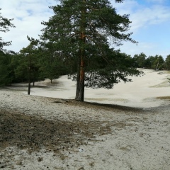 Helen Karamavrova, 29.12, Санкт-Петербург