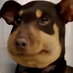 Захар Новицкий, 10.01, Полоцк