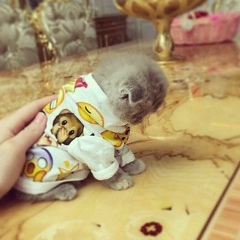 Ашура Умарова, 01.02.1901