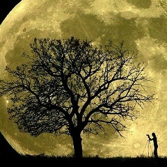 Константин Грищенко, 27.07.1984, Москва