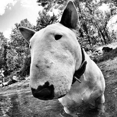 Серёга Камрадов, 10.03.2000, Калининград