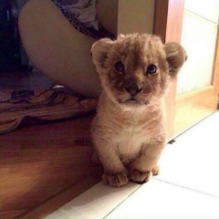 Ислам Хасуев, 04.10.1990, Грозный