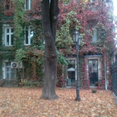 Игорь Одесский, Одесса