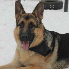 Алексей =), 30.10, Москва