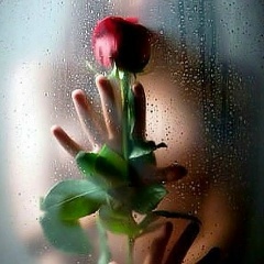 İrina Silina, 20.12, Мурманск