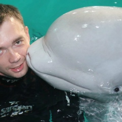 Антон Великоречин, 24.12, Санкт-Петербург