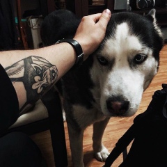 Роберт Франк, 01.01.1997, Москва