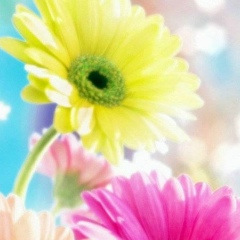 Татьяна Катрич, 24.12, Nürnberg