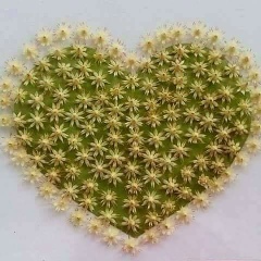 Kyi-Phyu Shin, 30.03.2004