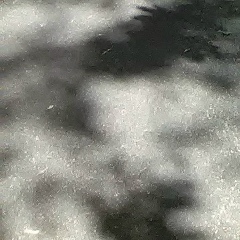 Дарья Гуляева, 17.05, Москва