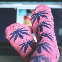 Светлана Горшкова